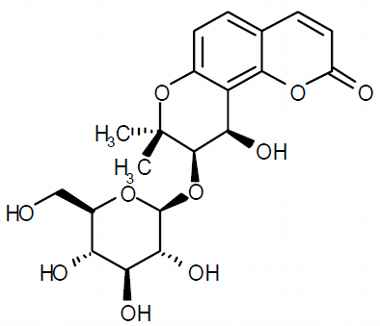 PA PHY 003157