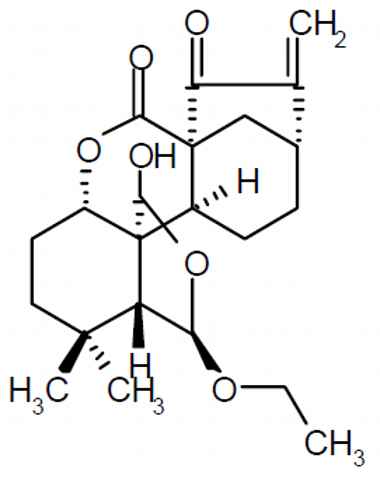 PA PHY 003158