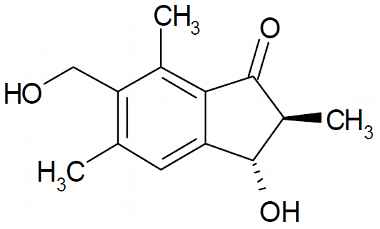 PA PHY 003165