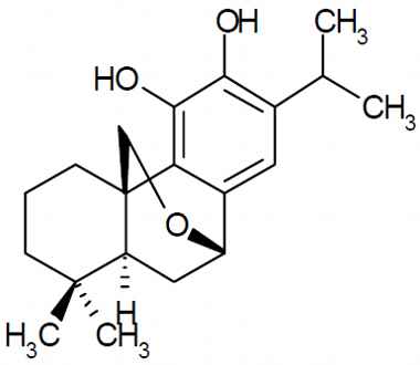 PA PHY 003171