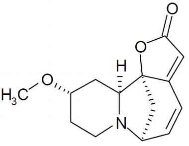 PA PHY 003174