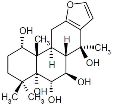 PA PHY 003176