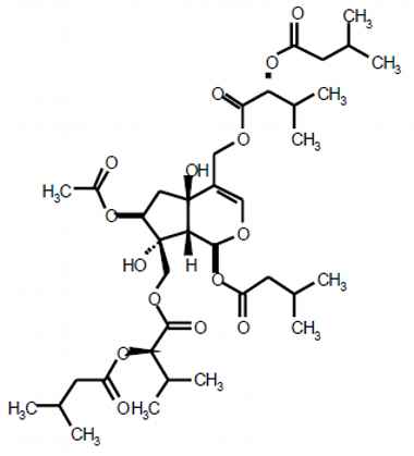 PA PHY 003182