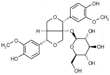 PA PHY 003183