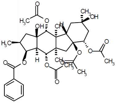 PA PHY 003188