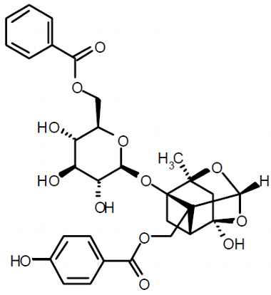 PA PHY 003191