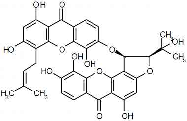 PA PHY 003216