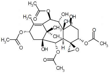 PA PHY 003220