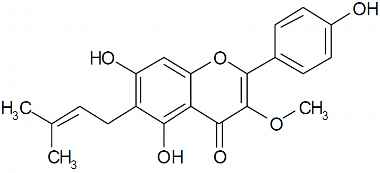 PA PHY 003227