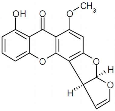 PA PHY 003228