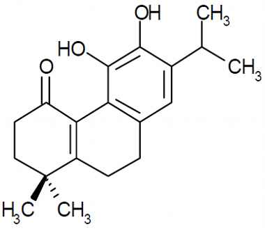 PA PHY 003230