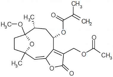 PA PHY 003231