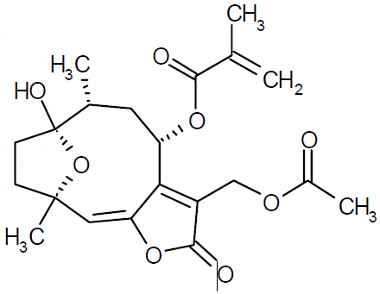 PA PHY 003232