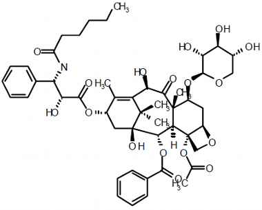 PA PHY 003234