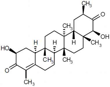 PA PHY 003235