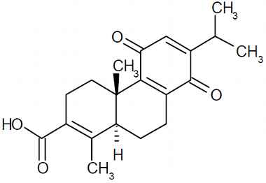 PA PHY 003236