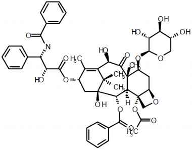 PA PHY 003237