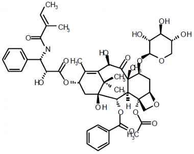 PA PHY 003238