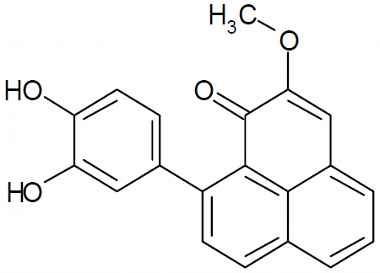 PA PHY 003239