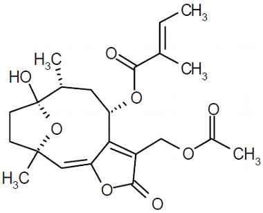 PA PHY 003240