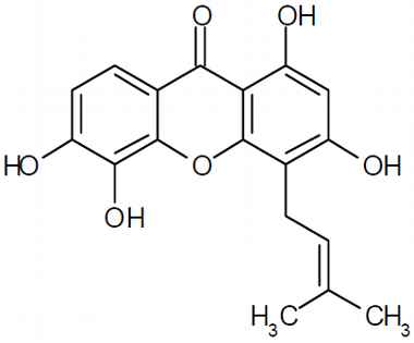 PA PHY 003241