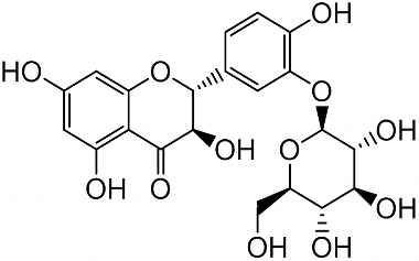 PA PHY 003245