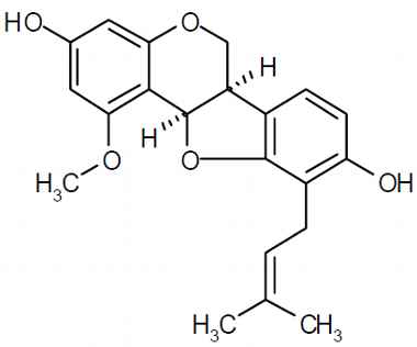 PA PHY 003248