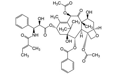 PA PHY 003253