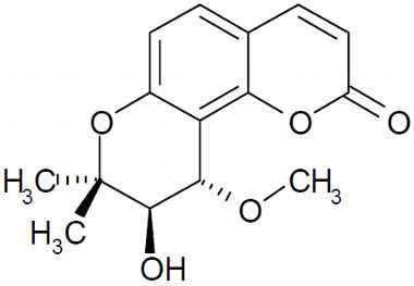 PA PHY 003257