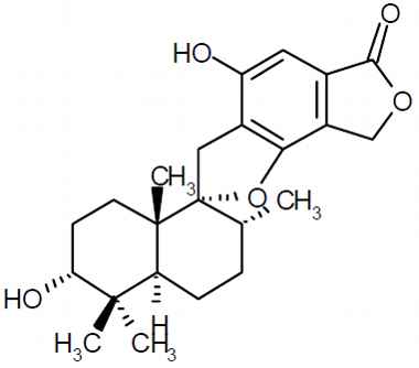 PA PHY 003261