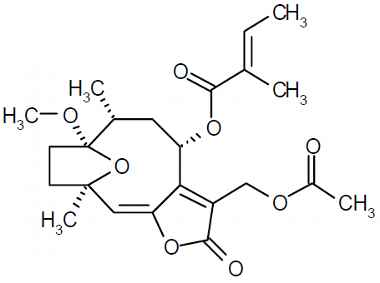 PA PHY 003263