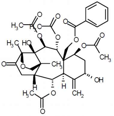 PA PHY 003265