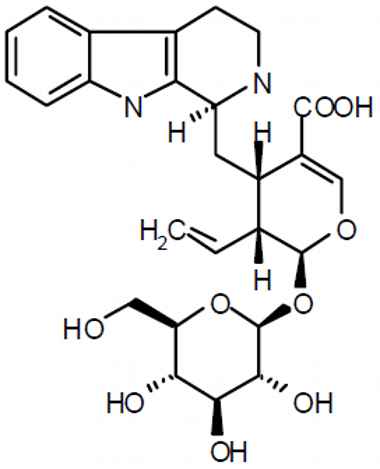 PA PHY 003267