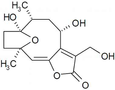 PA PHY 003274