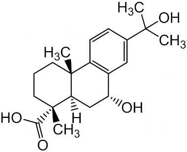 PA PHY 003278