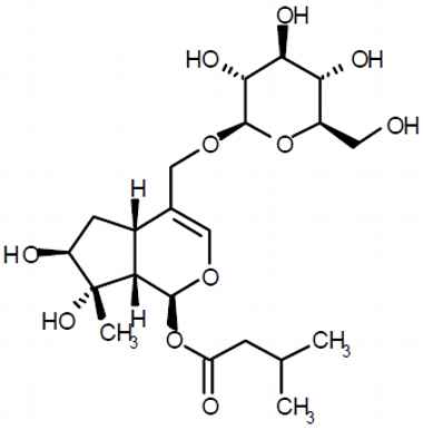 PA PHY 003285