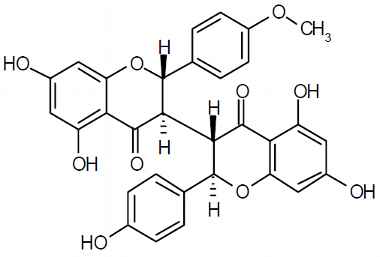 PA PHY 003296