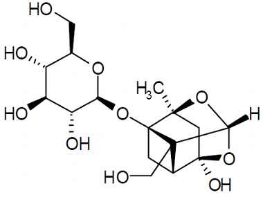 PA PHY 003297