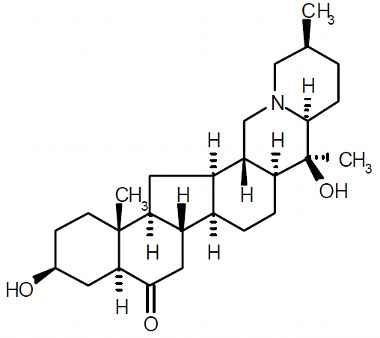 PA PHY 003308