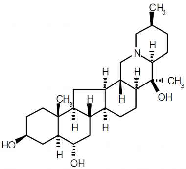 PA PHY 003310