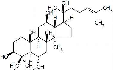 PA PHY 003316