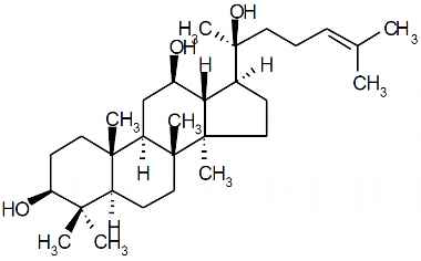 PA PHY 003317