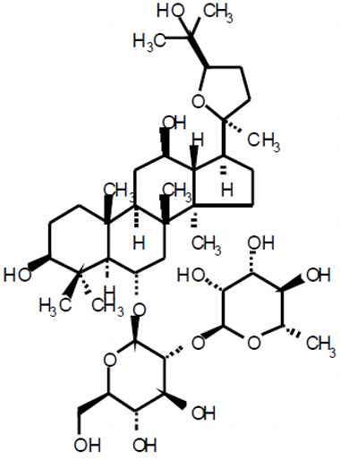 PA PHY 003320