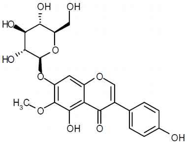 PA PHY 003327