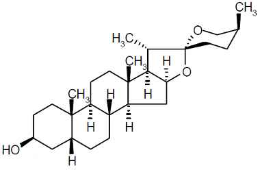 PA PHY 003328