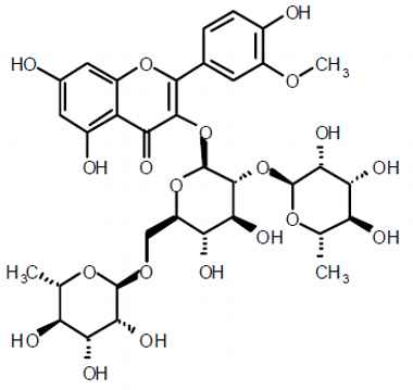 PA PHY 003331