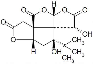 PA PHY 003335