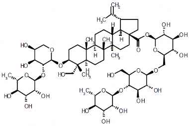 PA PHY 003341