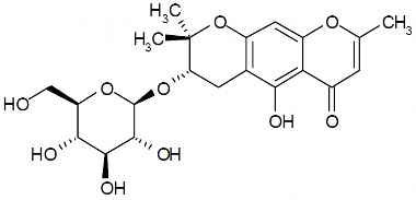 PA PHY 003342