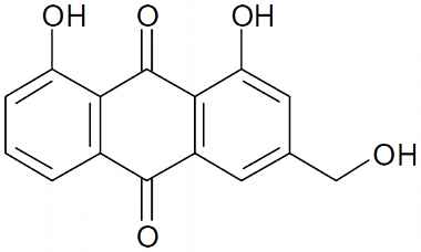 PA PHY 003363